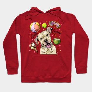 Pitbull Hello Summer Hoodie